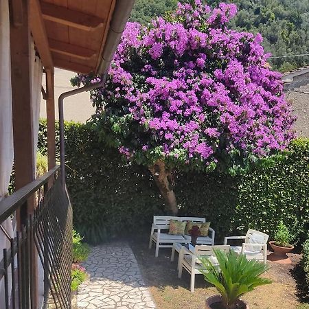 La Bouganville E Il Gelsomino Pietrasanta Exteriér fotografie