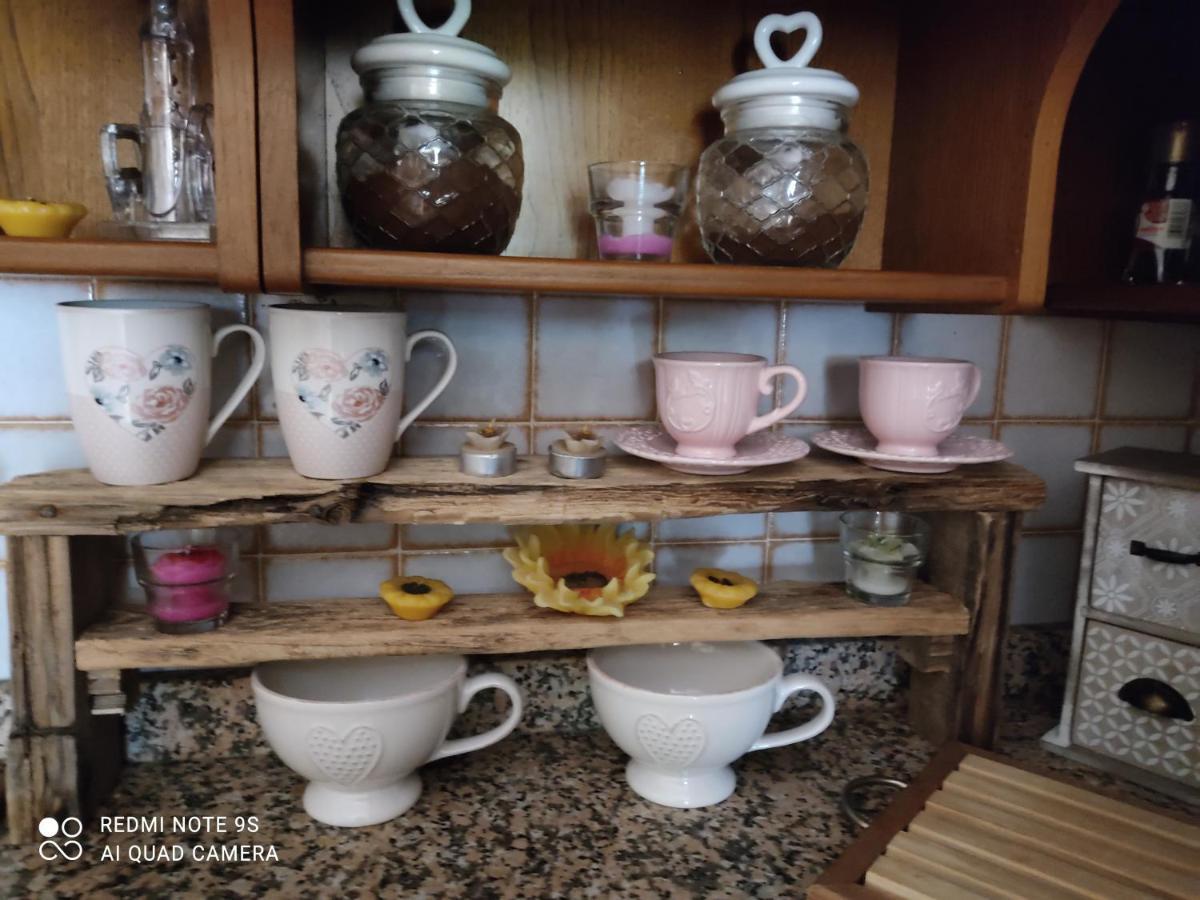 La Bouganville E Il Gelsomino Pietrasanta Exteriér fotografie