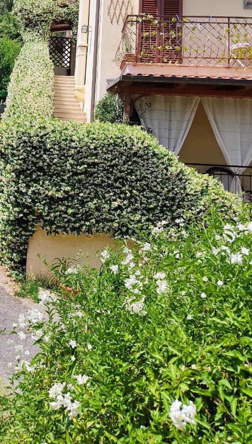 La Bouganville E Il Gelsomino Pietrasanta Exteriér fotografie