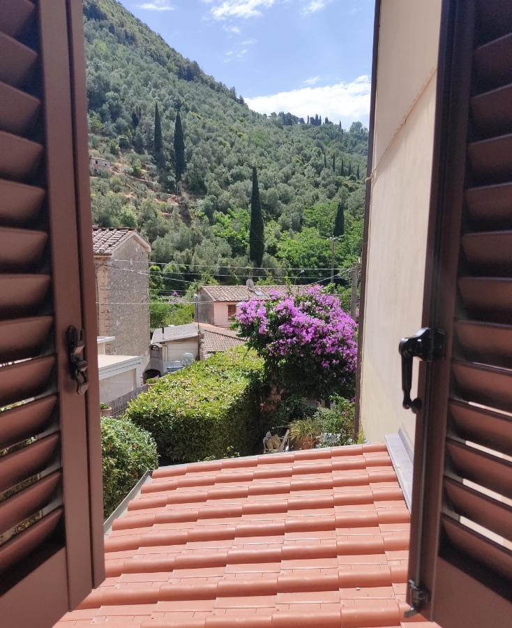 La Bouganville E Il Gelsomino Pietrasanta Exteriér fotografie