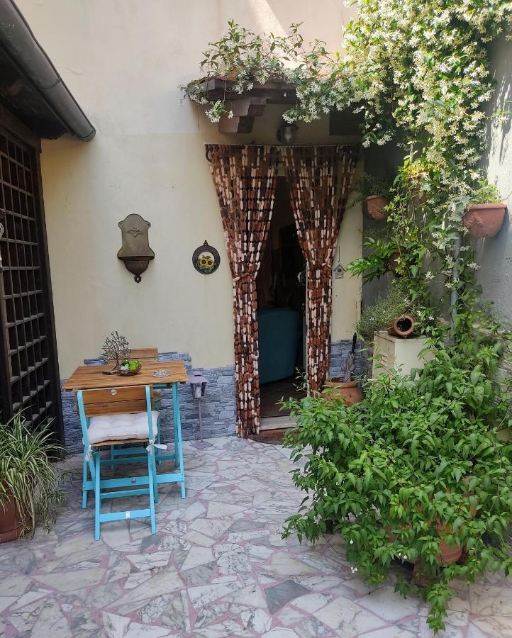 La Bouganville E Il Gelsomino Pietrasanta Exteriér fotografie