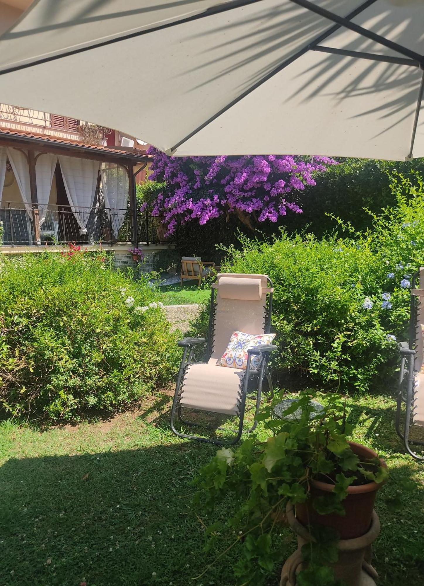 La Bouganville E Il Gelsomino Pietrasanta Exteriér fotografie