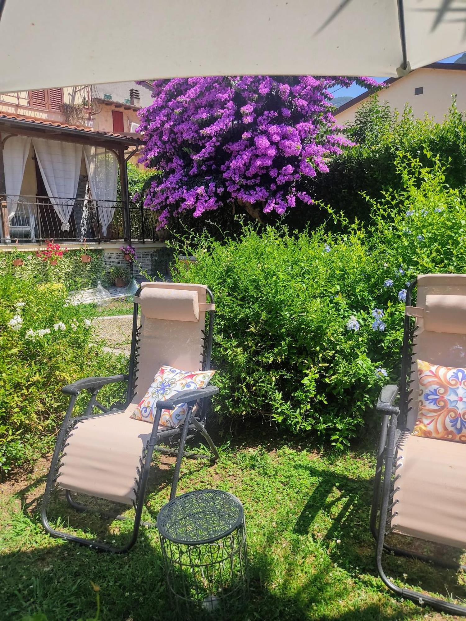 La Bouganville E Il Gelsomino Pietrasanta Exteriér fotografie