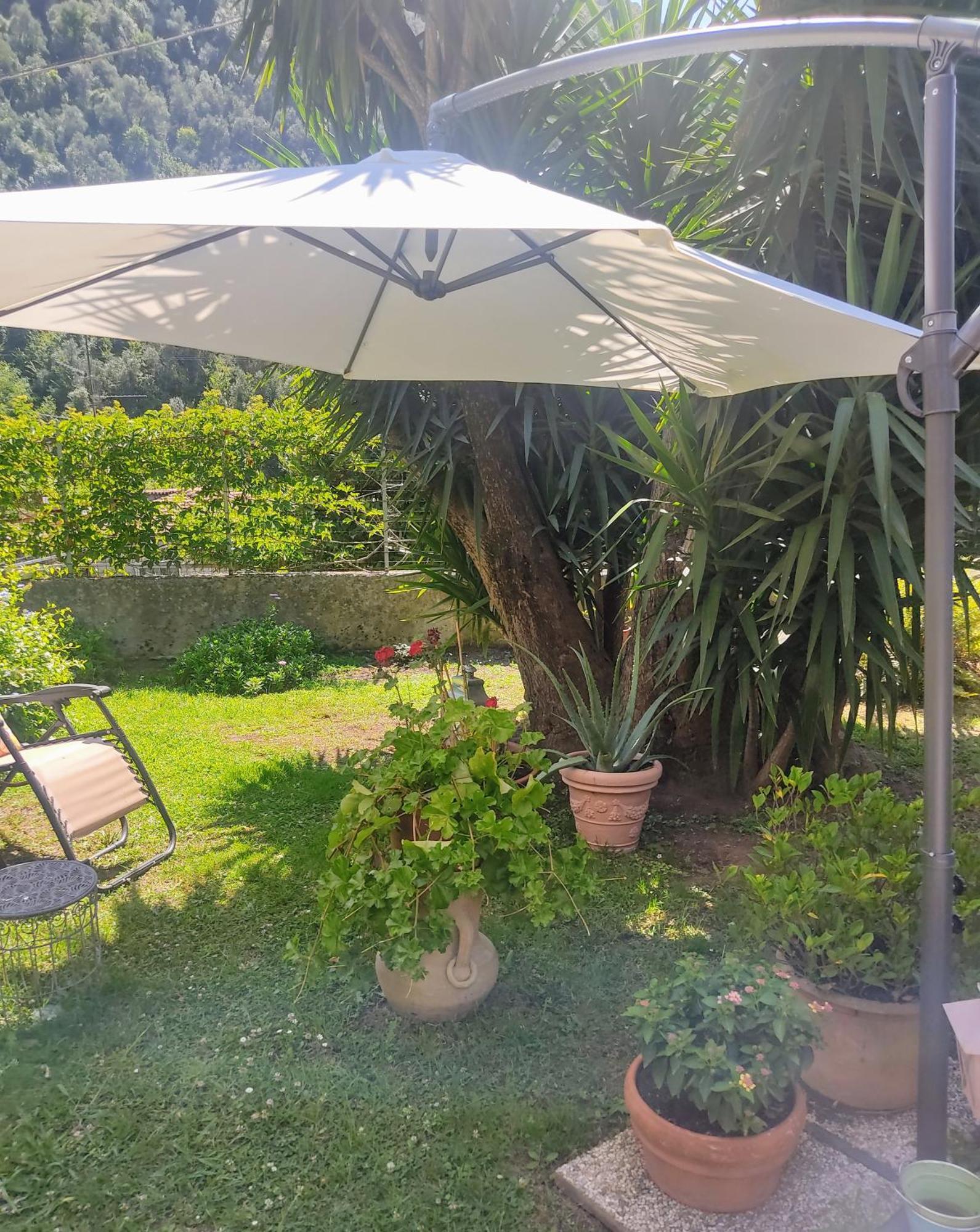La Bouganville E Il Gelsomino Pietrasanta Exteriér fotografie