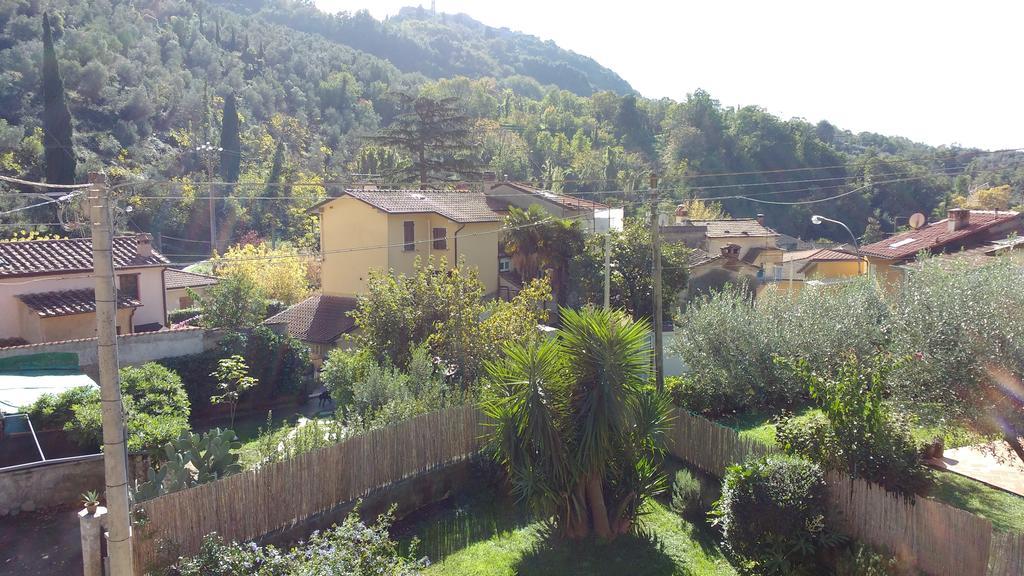 La Bouganville E Il Gelsomino Pietrasanta Exteriér fotografie